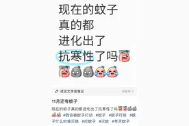 冬天了怎么还有这么多蚊子？做好这些避免蚊子骚扰图片