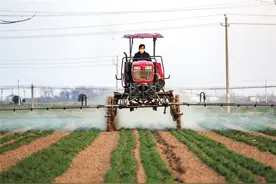 如何科学施肥、如何应对“倒春寒”……专家支招麦田管理图片