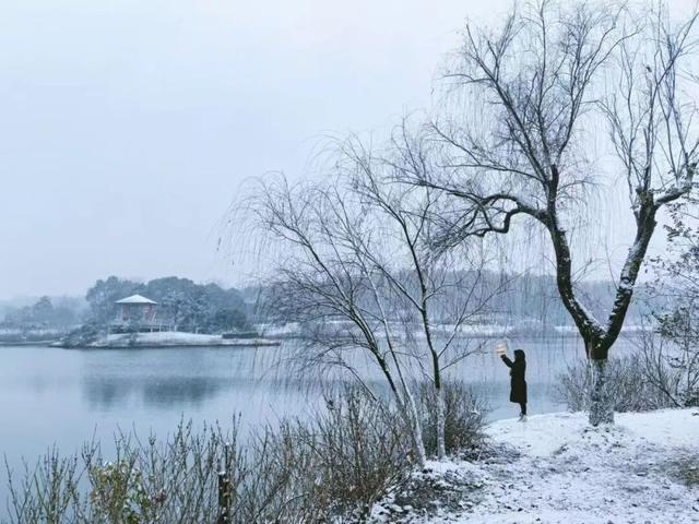宜兴一下雪，就美成了阳羡！