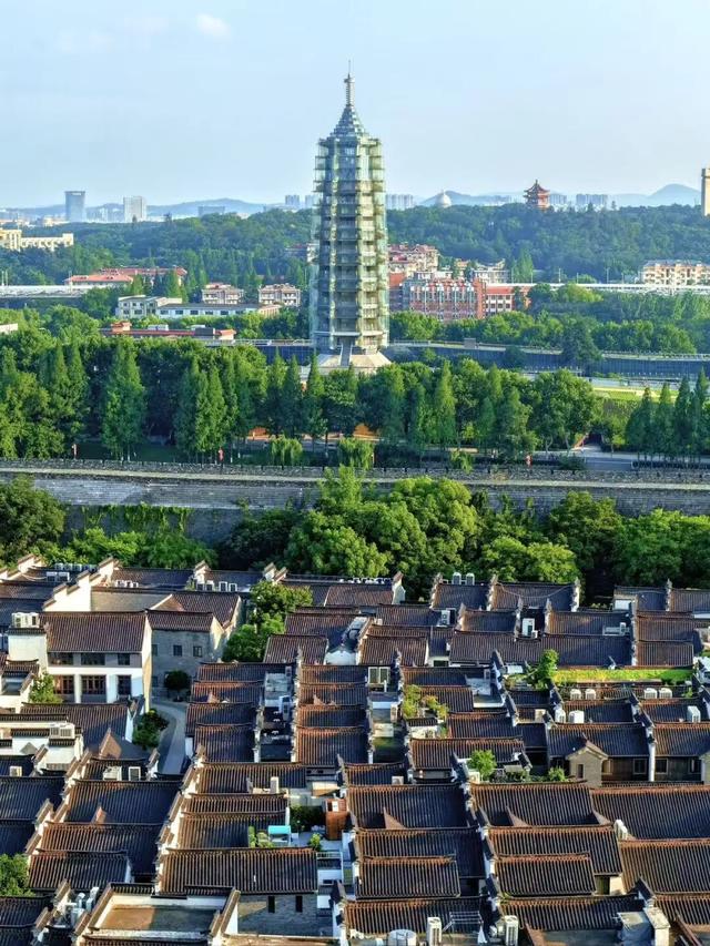 免费、半价、优惠！南京这些景区官宣！