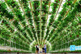 GDP突破8200亿，增长5.9%，潍坊经济运行稳健向好攀高进位图片