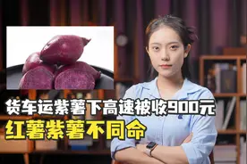 红薯紫薯不同命，货车运紫薯下高速被收900元，是因为“教科书”上没有？视频封面