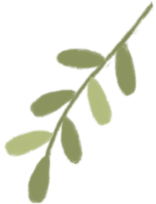 园林城市 绿意生活 | 这条绿色游径太美了！