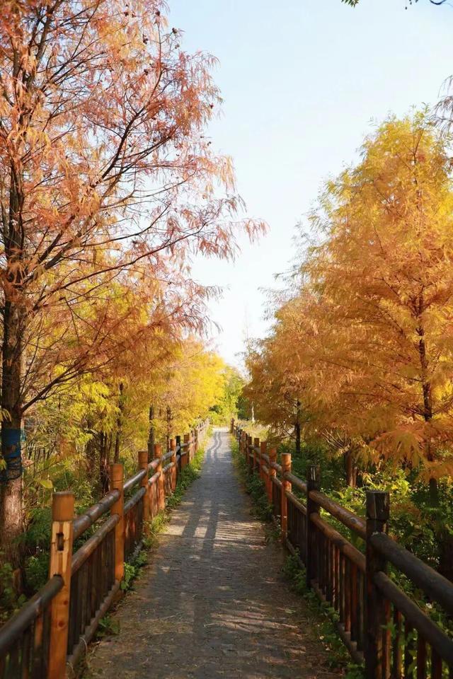 娄底：藏不住的诗意冬景，每帧都美到“心巴”上～