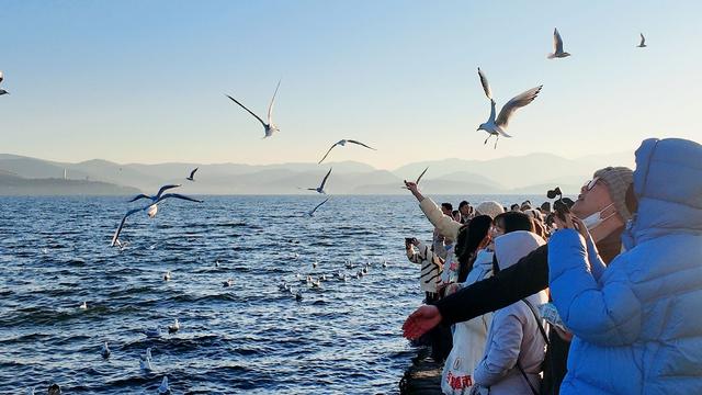 看日出、追红嘴鸥、拍婚纱……总要去一次大理龙龛码头吧！