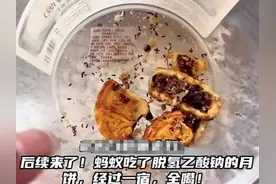 这种防腐剂将被禁用？真相来了图片