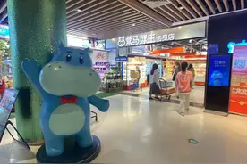 新CEO上任一个月，盒马“推翻”盒马：折扣化调整，重启会员制图片