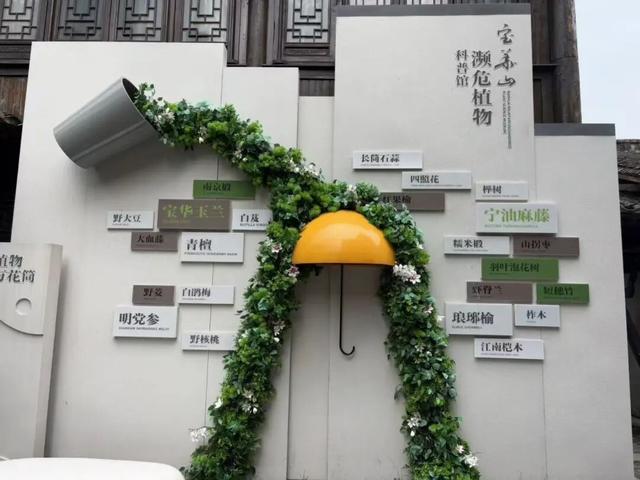 宝华山科普研学招募！速报名