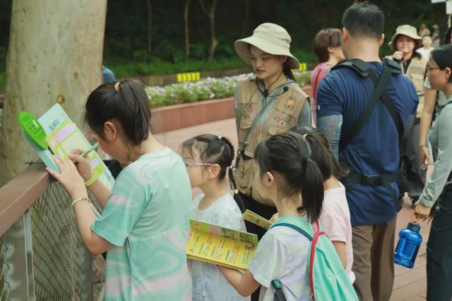 绿美云山丨以森林入药 漫享云山身心疗愈