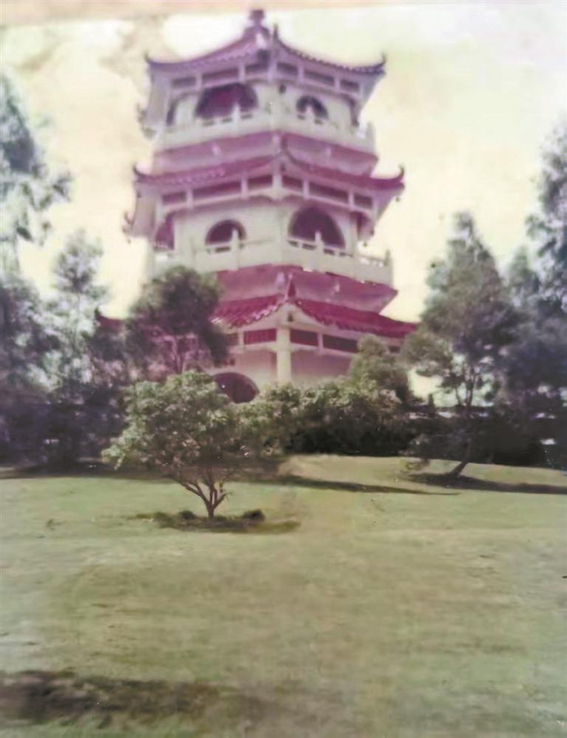 30年前的龙华公园，长这样