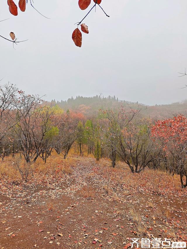 立冬首周末雨润章丘：红山翠谷赏红叶，仙境啊～