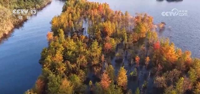 “限量版”秋冬美景成为旅游“金名片” 各地打造文旅市场新增长点