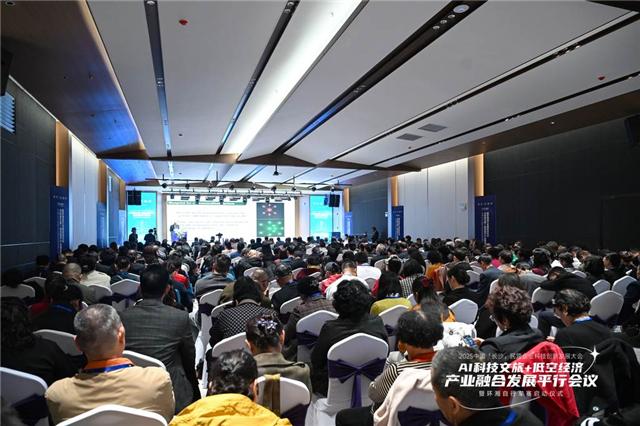 2025中国（长沙）民营企业科技创新发展大会长沙举行