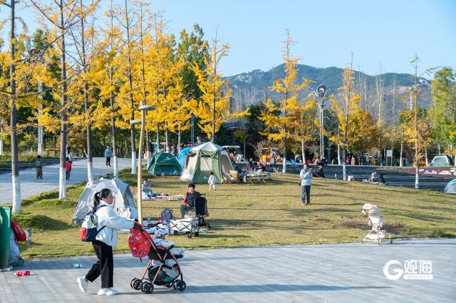 “秋日限定”上线！世博园赏秋正当时