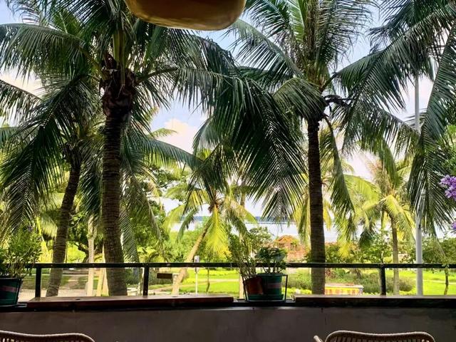 湛江逛吃地图更新！这条宝藏路线，我能逛100遍→