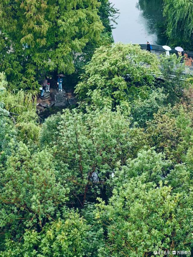 雨中漫步大明湖