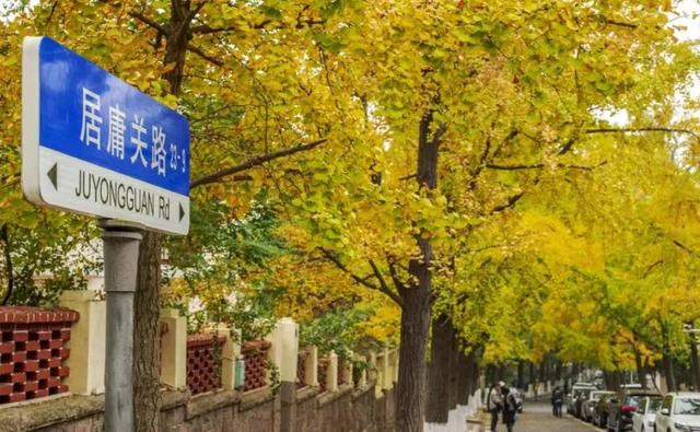 新华社+《国家地理》推荐 快来打卡山东秋景限定款