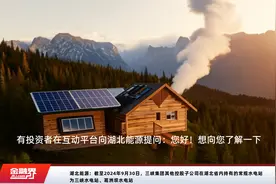湖北能源：截至2024年9月30日，三峡集团其他控股子公司在湖北省内持有的常规水电站为三峡水电站、葛洲坝水电站视频封面