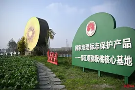 我在成都当农匠丨30岁的他，在土地里找到猕猴桃“出海”玄机图片