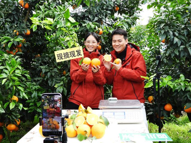 从中央经济工作会议看“十五五”开局之年中国经济着力点