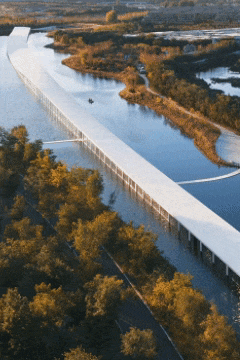 什么？日照下“雪”了？