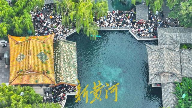 秋雨润泉城，济南两大泉群涨出新高度
