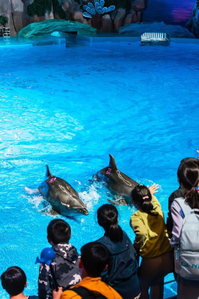 打卡星城丨@来长沙读大学新生：你的录取通知书里，这些隐藏福利别错过！