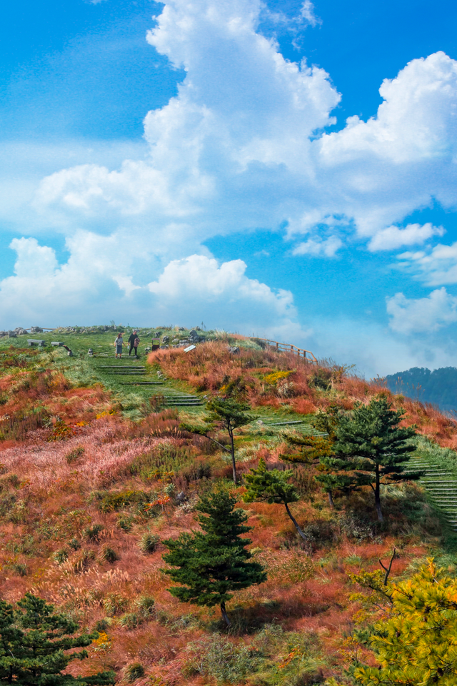 湖北有礼 | 免费领门票！打卡三峡红叶季，赴柴埠溪、百里荒金秋浪漫之约