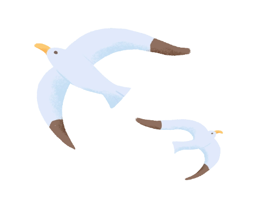 来昆观鸥！这样不堵！