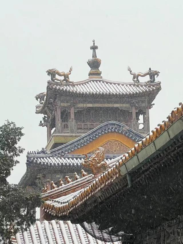 京城初雪！一大波雪景美图来了