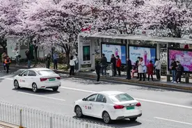 清明踏青赏花，滴滴多重安全措施保障假期出行图片