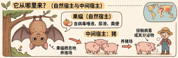 病死率高达75%！印度暴发人传人疫情	，深圳疾控最新提醒→