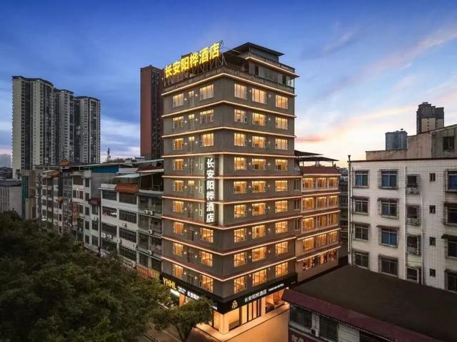 一口金桔甜，解锁融安初冬的N种玩法