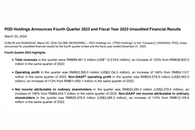 拼多多业绩增长的秘诀是Temu？图片