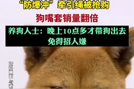 “防爆冲”牵引绳被抢购，狗嘴套销量翻倍。养狗人士：晚上10点多才带狗出去，免得招人嫌图片
