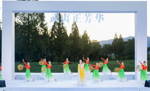 2025武夷山茶园文化季启动 武夷山与阿里山青年因茶缘相聚