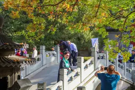 香山红叶季拉开序幕，预计下周迎来最佳观赏期图片