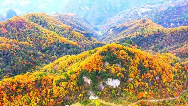 寻美兴山：又见榛子红
