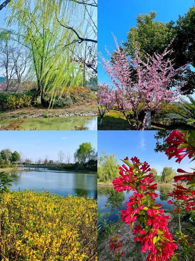 四季流转，青浦这座公园的颜值从来不掉线！