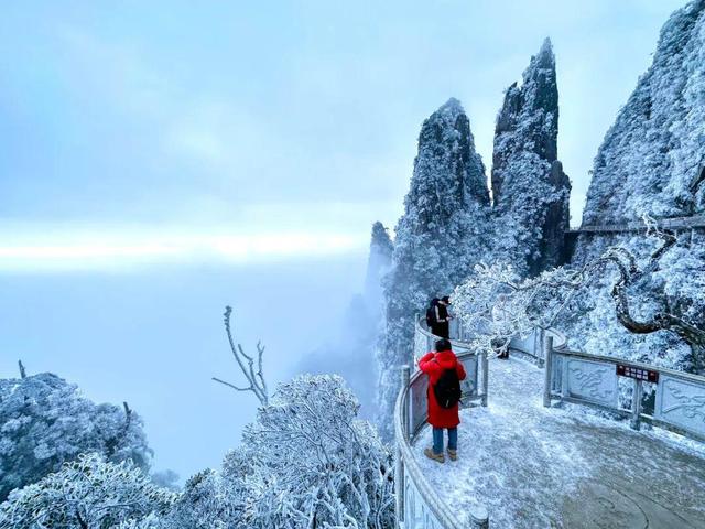 美到词穷！郴州首场雾凇惊艳上线