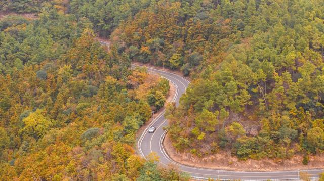 武进绝美打卡地！在嘉泽、湖塘、雪堰、前黄……