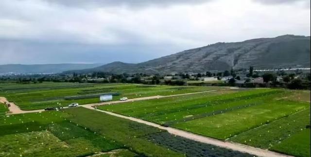 诗意甘肃｜渭水河畔的千年药乡——陇西