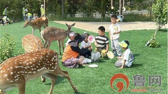 【全环境立德树人】胶州市开展“亲近自然 与鹿同行”主题活动