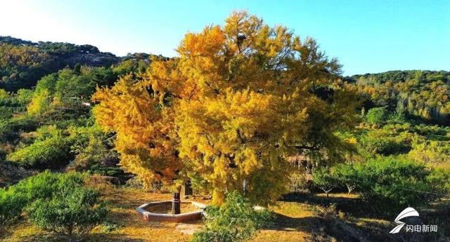 日照东港后村镇初冬限定！藏着最温柔的岁月痕迹