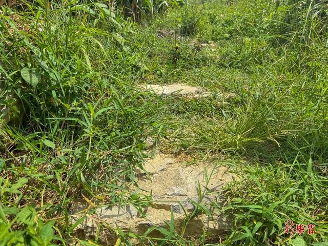 龙场九驿纪行丨西溪驿 :古道溯风霜 秋水照琳琅