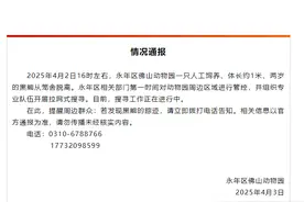 动物园黑熊出逃！官方通报→图片