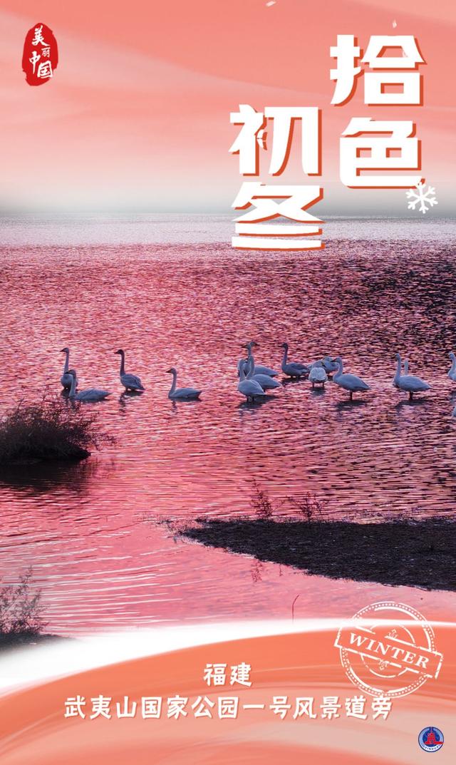 海报｜美丽中国·拾色初冬