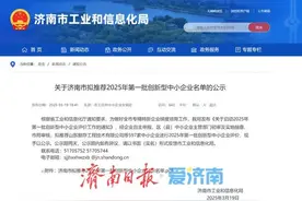 597家！济南市公示拟推荐2025年第一批创新型中小企业名单图片