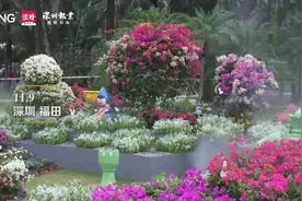 深新早点｜深圳五部门联合发布！事关水电燃气加价行为图片