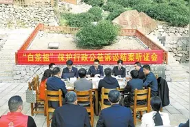 “白茶祖”旁的听证会图片